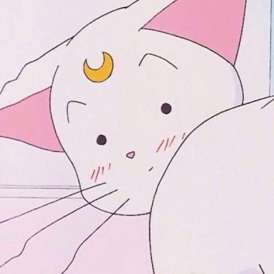 鸡煲老板晚上9点还在疯狂斩鸡